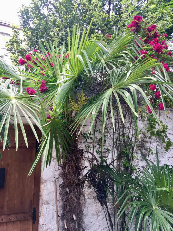 Palmera Mostar Ngoại thất bức ảnh