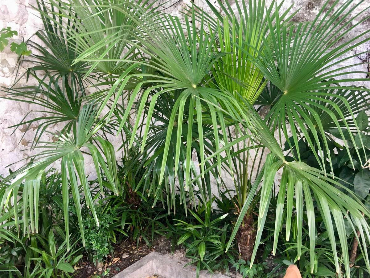 Palmera Mostar Ngoại thất bức ảnh